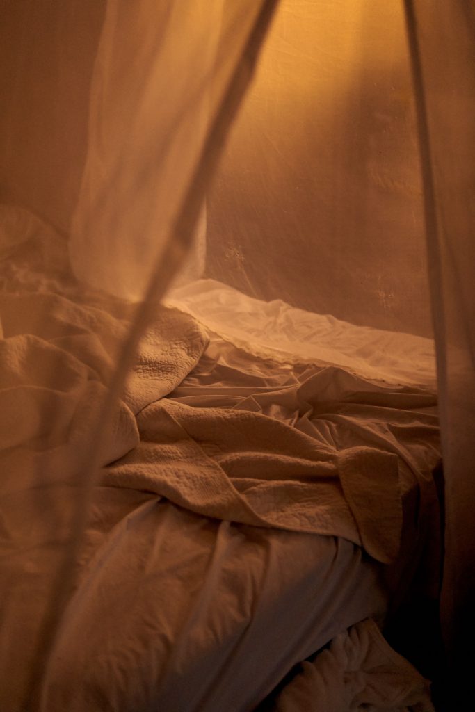Lindungi keluarga dari Nyamuk  Penyebab Malaria Blog 