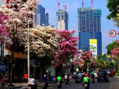 Kuliner Unik Dan Terkenal Khas Surabaya Wajib Dikunjungi