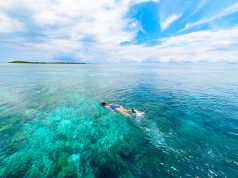 Surga Bawah Laut Di Penjuru Indonesia Layak Untuk Dikunjungi