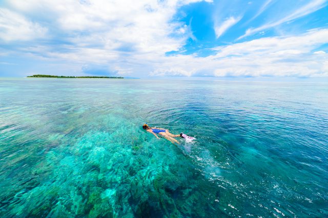 Woman snorkeling on coral reef tropical caribbean sea, turquoise blue water. Indonesia Wakatobi archipelago, marine national park, tourist diving travel destination