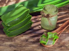 Manfaat dan Perbedaan Aloe Vera Multifunction Gel Untuk Kecantikan Kulit dan Rambut.