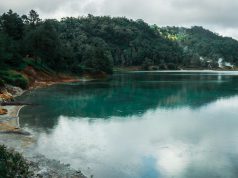 5 Kuliner Khas Manado yang Menggugah Selera Manado misty lake
