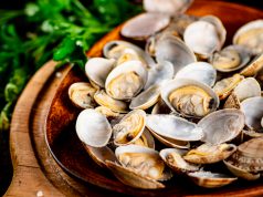 5 Jenis Kerang yang Dapat Diolah Menjadi Hidangan Lezat