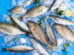 Suka Makan Ikan? Yuk Coba Jenis Ikan Bernutrisi Berikut Ini