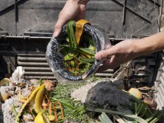 Tips Olah Sampah Rumah Tangga Jadi Pupuk Kompos Tips Olah Sampah Rumah Tangga Jadi Pupuk Kompos