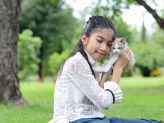 6 Cara Merawat Anak Kucing Tanpa Induk