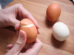 4 Manfaat Kulit Telur dan Cara Mengolahnya Manfaat Kulit Telur dan Cara Mengolahnya