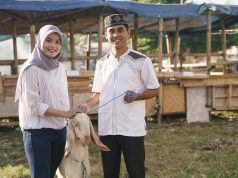 Jenis-Jenis Hewan Kurban yang Boleh Disembelih saat Idul Adha jenis hewan kurban