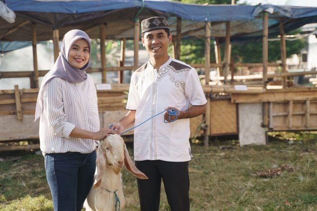 jenis hewan kurban
