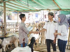 Syarat Hewan Kurban yang Boleh Disembelih saat Idul Adha syarat hewan kurban