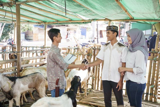 syarat hewan kurban