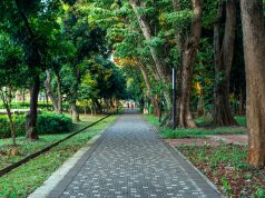 5 Rekomendasi Taman di Jakarta untuk Bersantai taman di jakarta