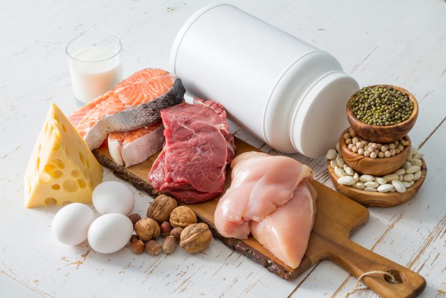 fungsi protein bagi tubuh