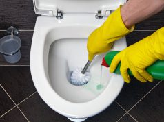 Cara Disinfeksi Dengan Harpic Pembersih Toilet pembersih toilet